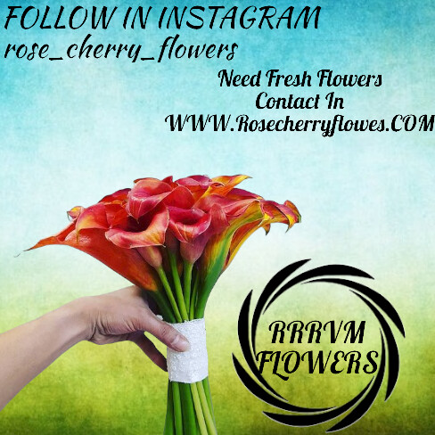 Special Calla Lilly Bouquet