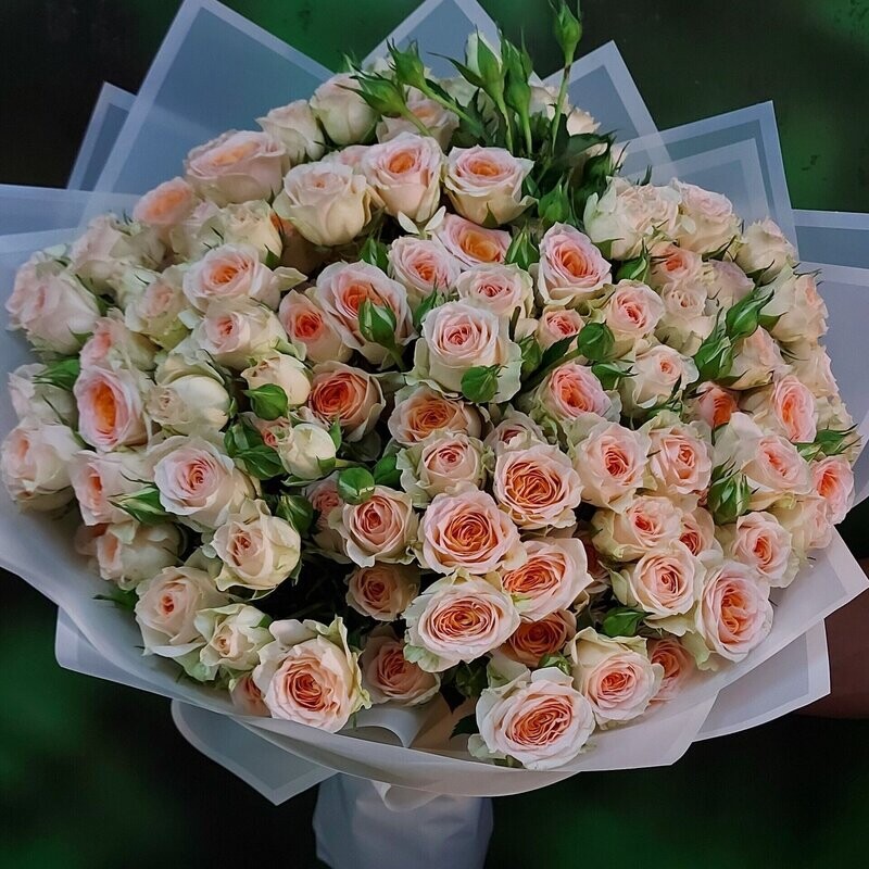 Blush Baby Rose Bouquet