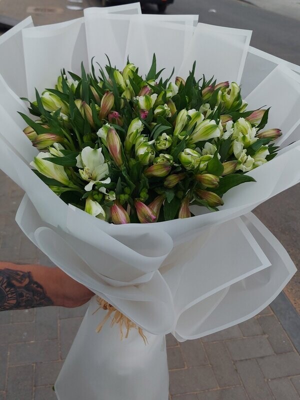 Assorted Astromaria Bouquet