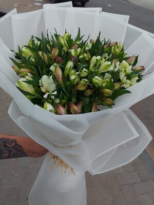 Assorted Astromaria Bouquet