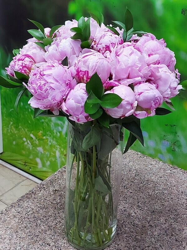 Bunch Of Peony In Vase