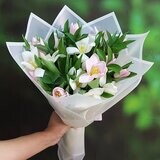 Tulip Hand Bouquet