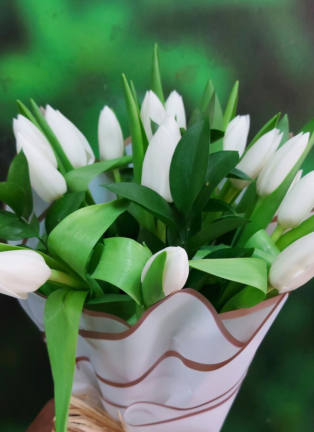 White Tulip Garden