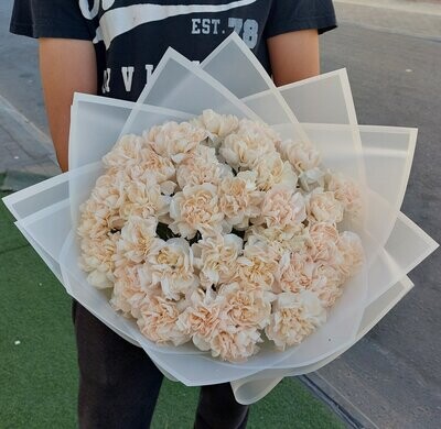 Graceful Carnation Hand Bouquet