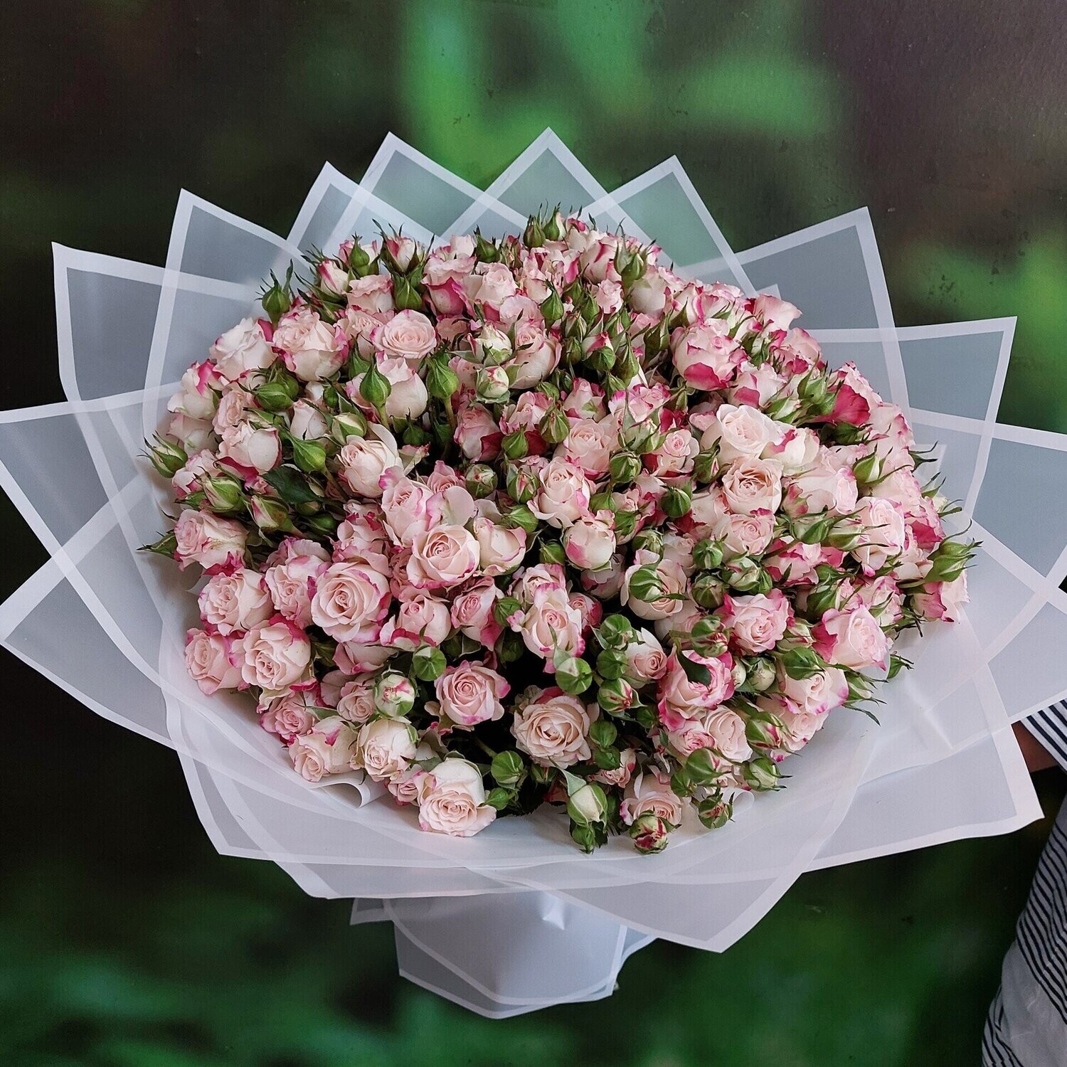 Delicate Reflex Baby Roses Bouquet