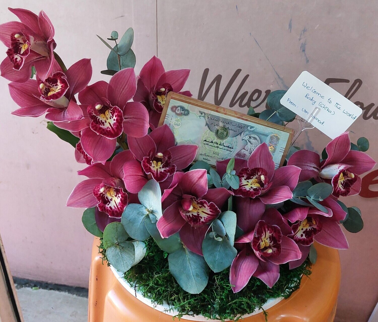 Loyal Cymbedium  Arrangement
