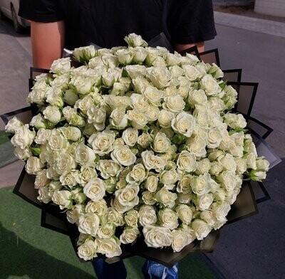 The White Fantacy Baby Roses Bouquet