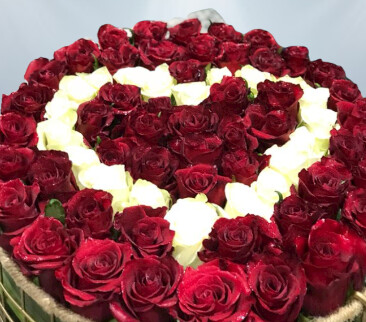 My Heart In Bunch