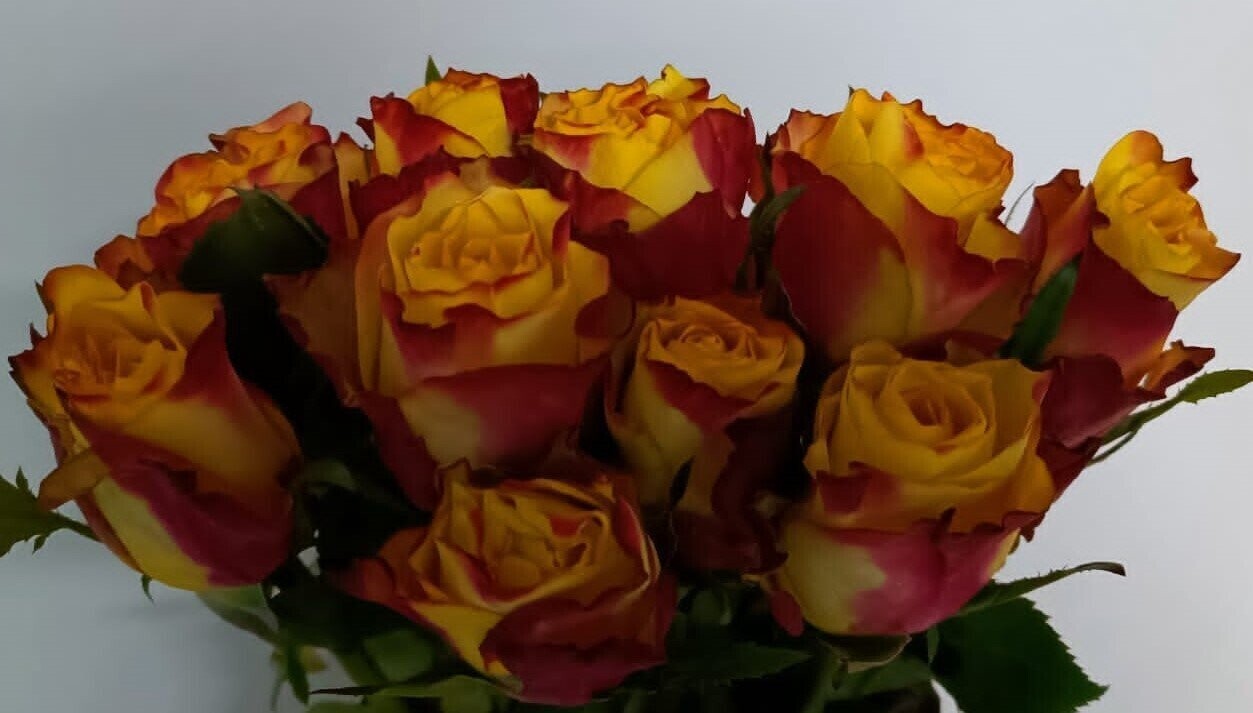 Bunch Of Yellow&Red Colour Rose 10Pcs 25AED