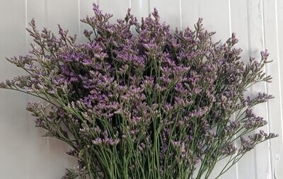Bunch Of Purple Limonium 20Pcs 50AED
