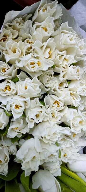 Bunch Of Design White Tulips 10Pcs 70AED