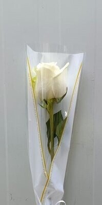 Arranged White Single Pieces 10Pcs 35AED