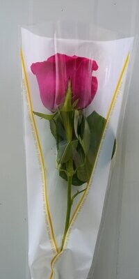 Arranged Pusha Single Pieces 10Pcs 35AED