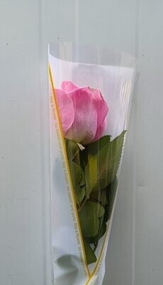 Arranged Pink Single Pieces 10Pcs 35AED