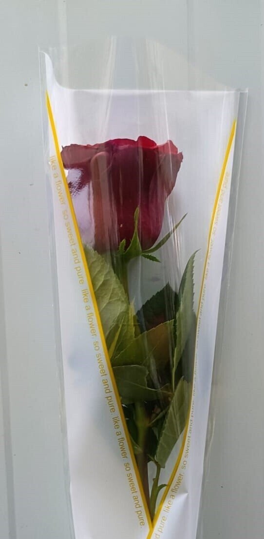 Arranged Red Single Pieces 10Pcs 35AED