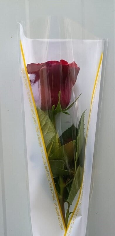 Arranged Red Single Pieces 10Pcs 35AED