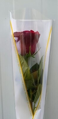 Arranged Red Single Pieces 10Pcs 35AED