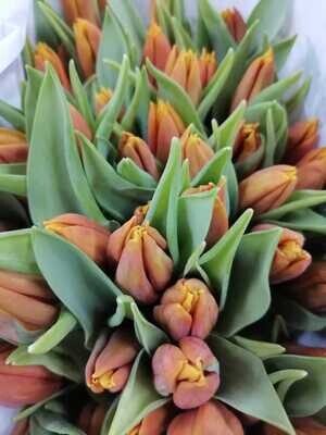 Bunch Of Orange Tulips 10Pcs 50AED