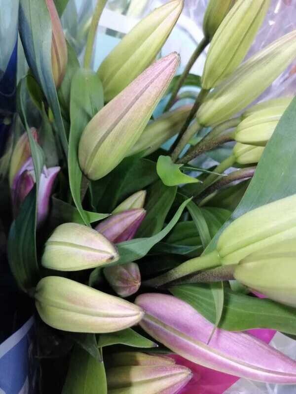 Bunch Of Pink Lily 10Pcs 100AED