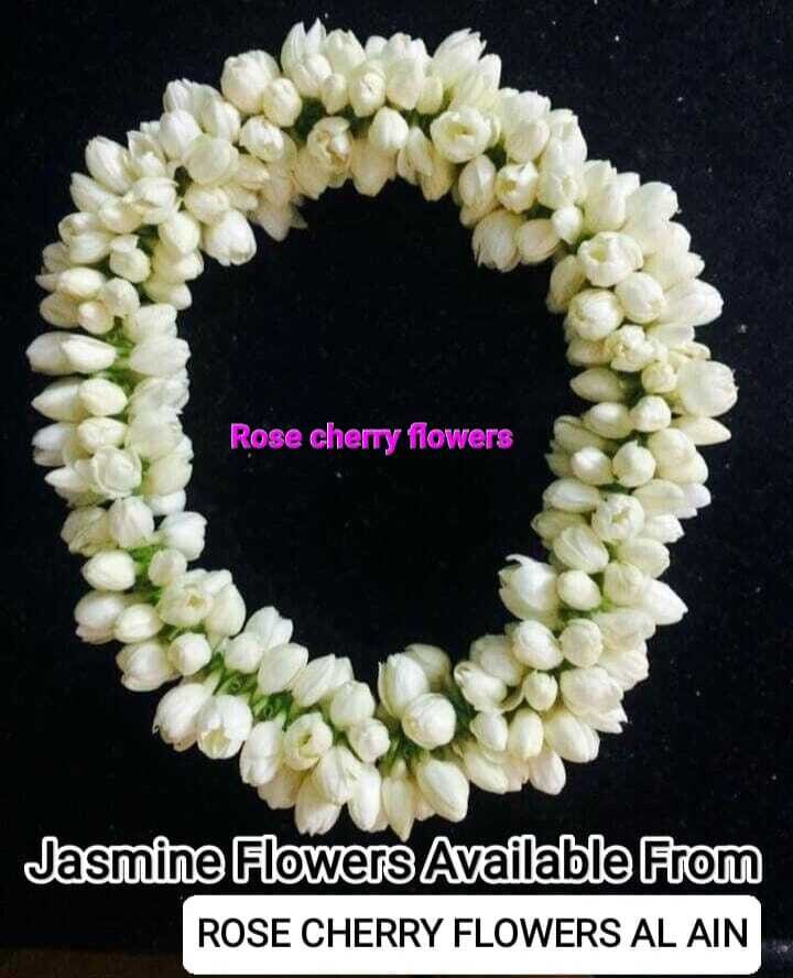 Jasmine Bracelet