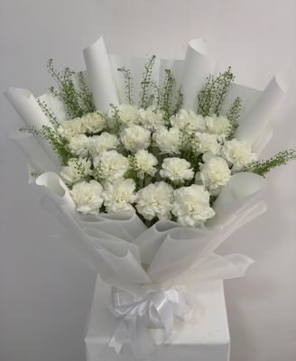 Elegant Carnation Lepidium Bouquet Elegant Carnation Lepidium Bouquet