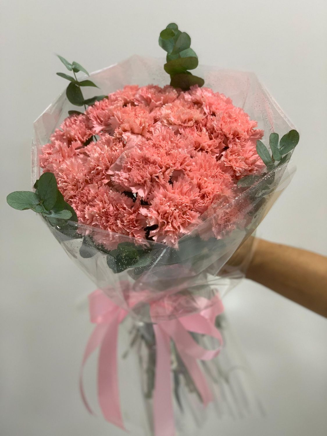 Carnation Eucalyptus Fresh Bouquet