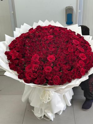 Red Roses Bouquet – 300 pcs