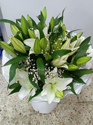 Elegant fresh white lily bunch