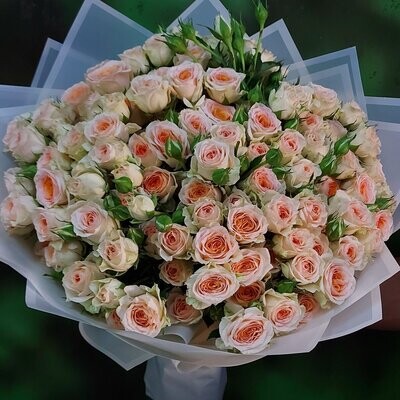 Blush Baby Rose Bouquet Blush Baby Rose Bouquet