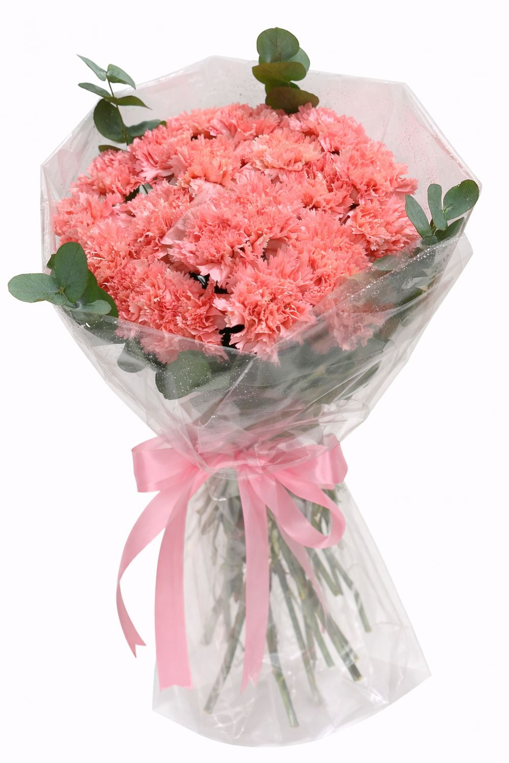 Carnation Eucalyptus Fresh Bouquet