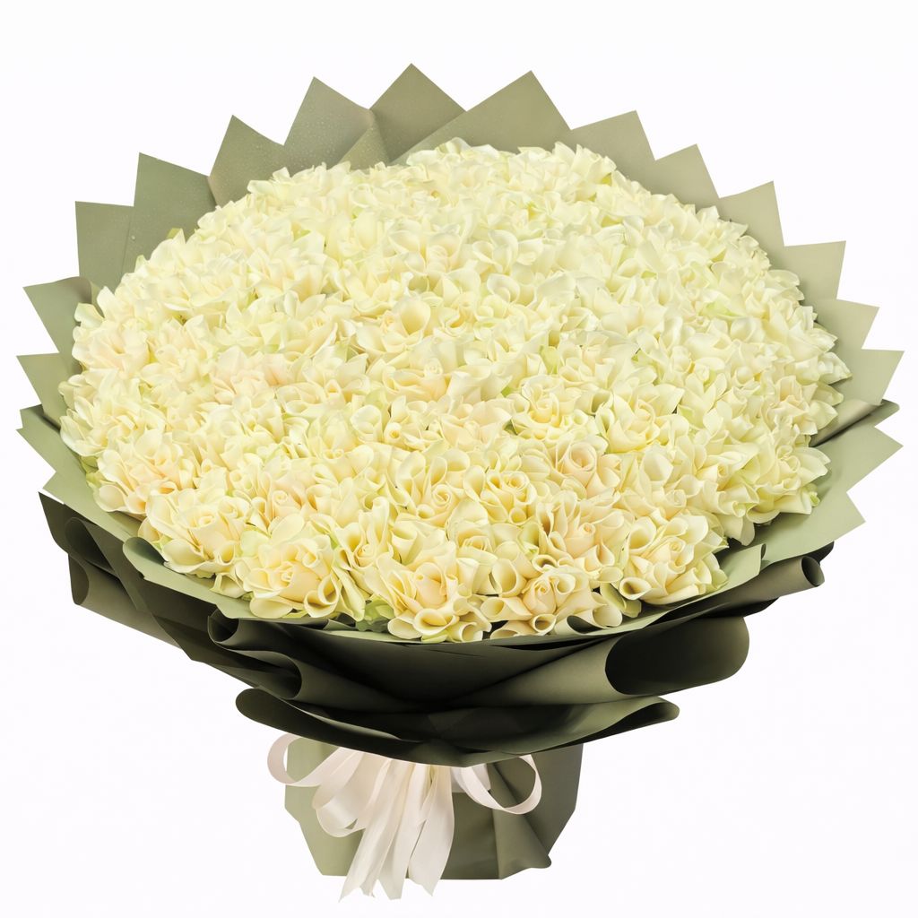 61 White Roses Elegance