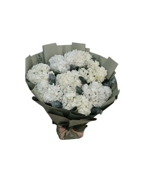 10 White Hyderenga Bouquet 10 White Hyderenga Bouquet