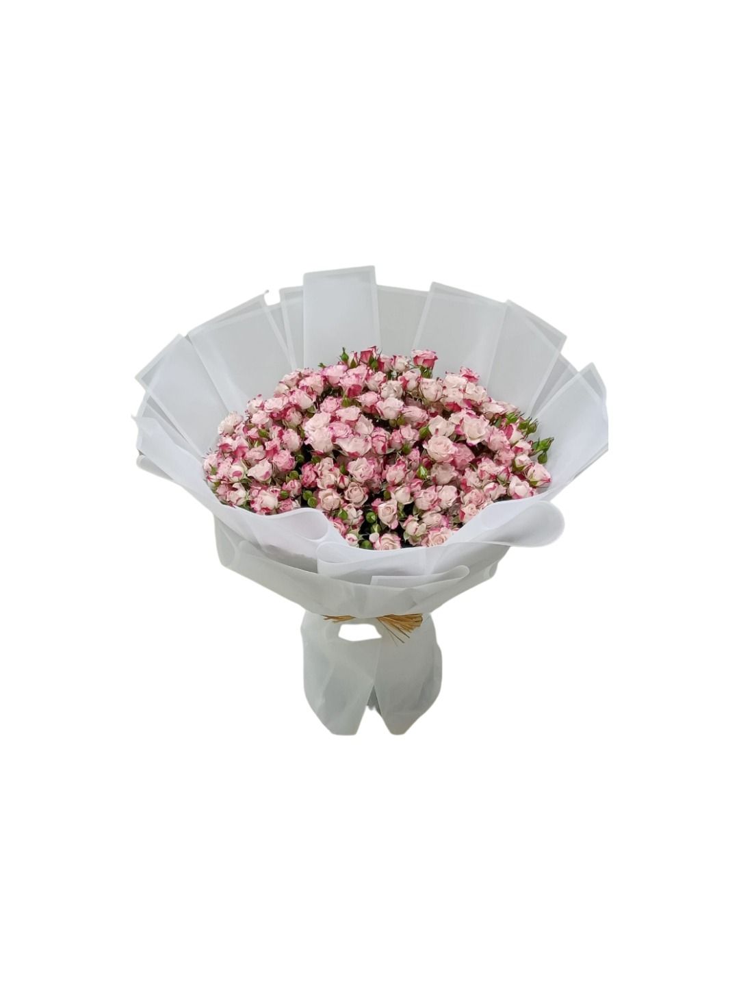 25 Double colour Baby Roses Bouquet