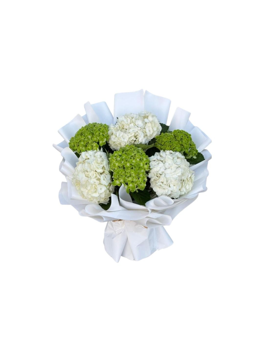 Elegant Hydrangea Mix