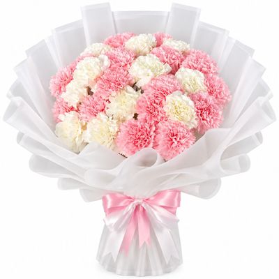20 Mixed Carnation Fresh Flower Bouquet
