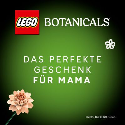 LEGO® BOTANICALS
