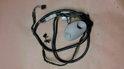 Interior Lamp Harness IDENT FR RIGHT HAND SIDE Omega B GM 90492799