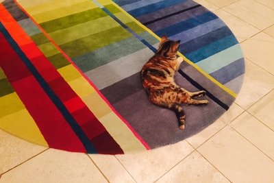 Small Rugs and Furniture