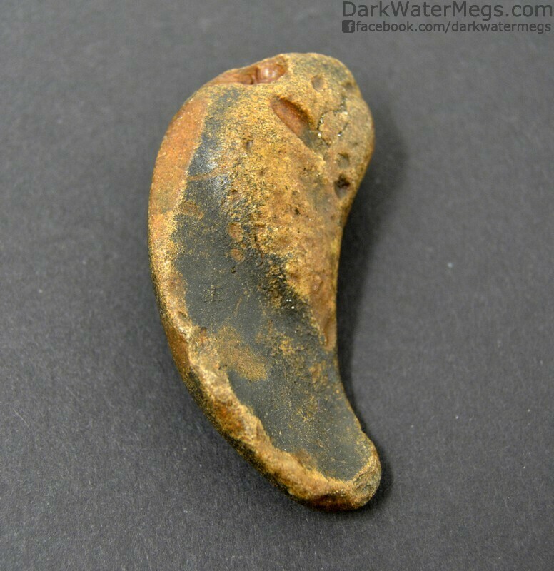 2.42" Small Orange and Black Whale Inner Ear Bone Fossil