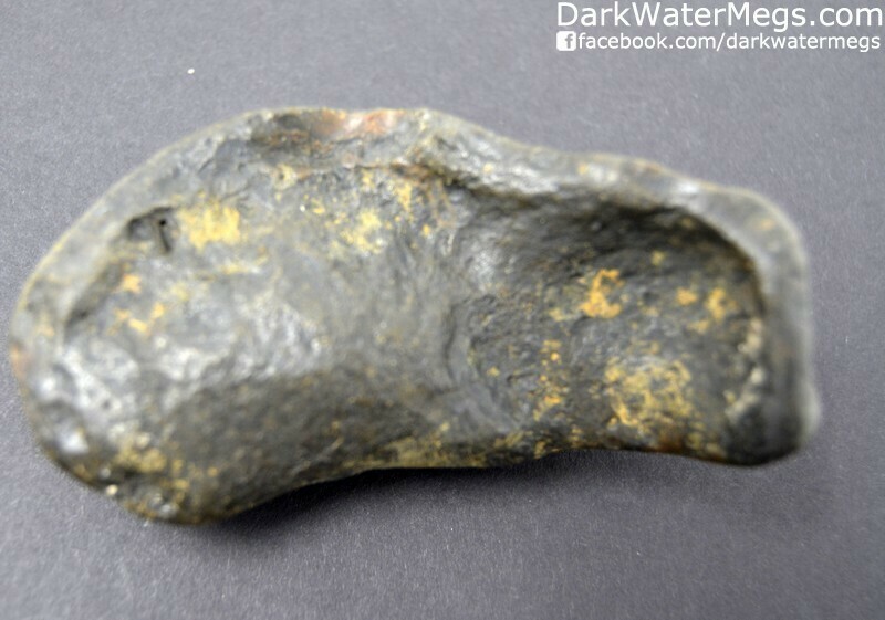 3.65&quot; Brown Whale Ear Bone