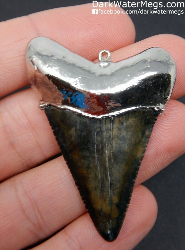 2.12" Serrated Great White Tooth Necklace