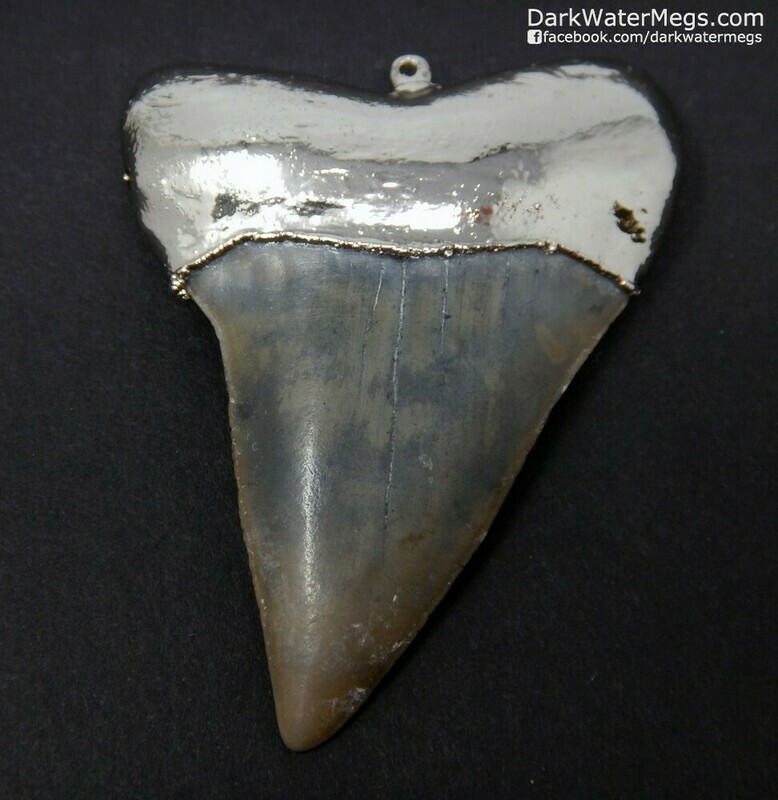 2.23&quot;  Sharkp Mako Necklace