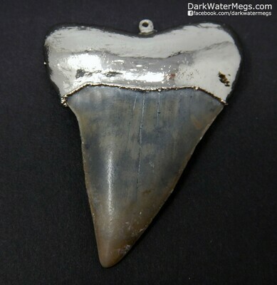 2.23" Sharkp Mako Necklace