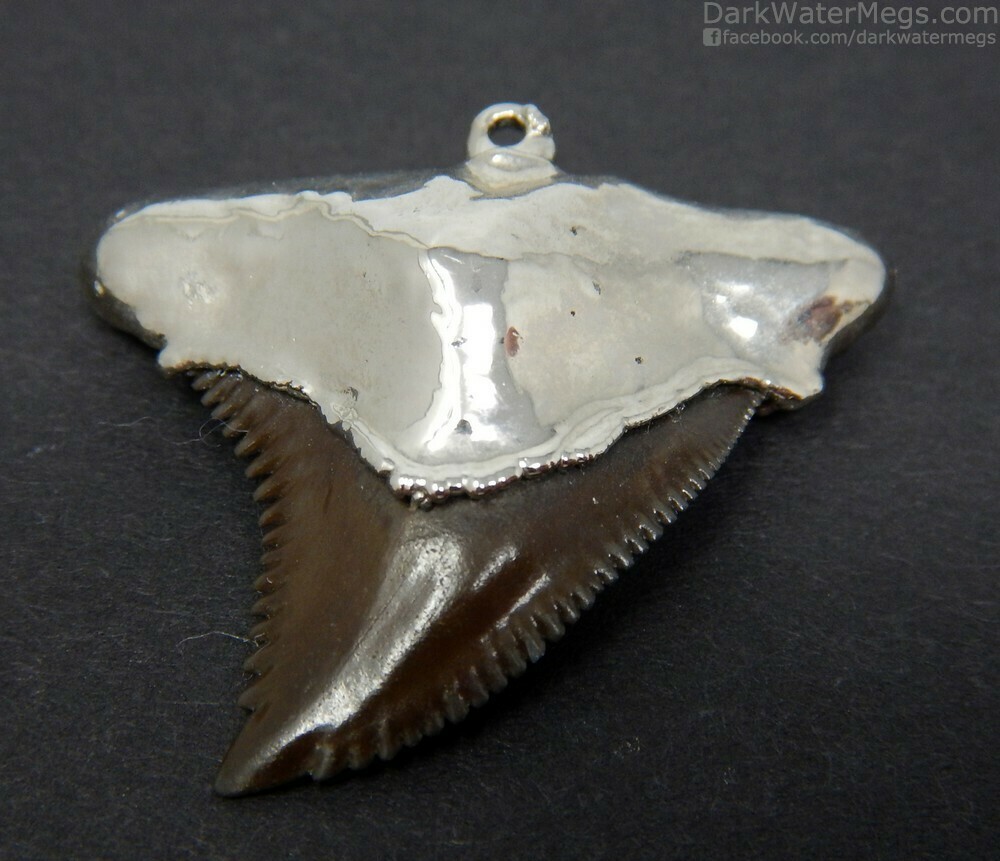 1.18&quot; Dark Brown Snaggle fossil Necklace Necklace