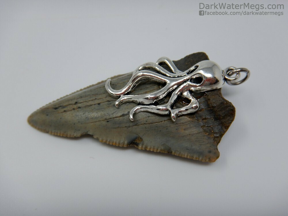 1.97&quot; Octopus Setting Megalodon Necklace