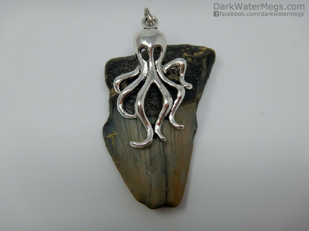 1.68&quot; Octopus Setting Megalodon Necklace