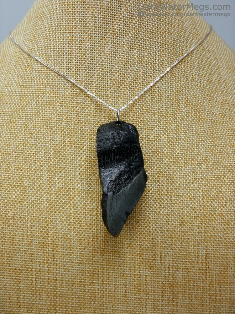 2.54&quot; Natural Hole Megalodon Necklace