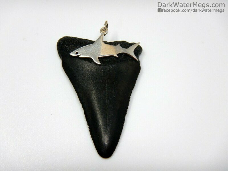 1.78&quot; Great White Necklace with Sterling Shark Setting
