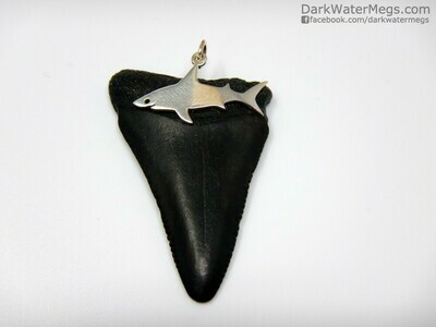 1.78" Great White Necklace with Sterling Shark Setting