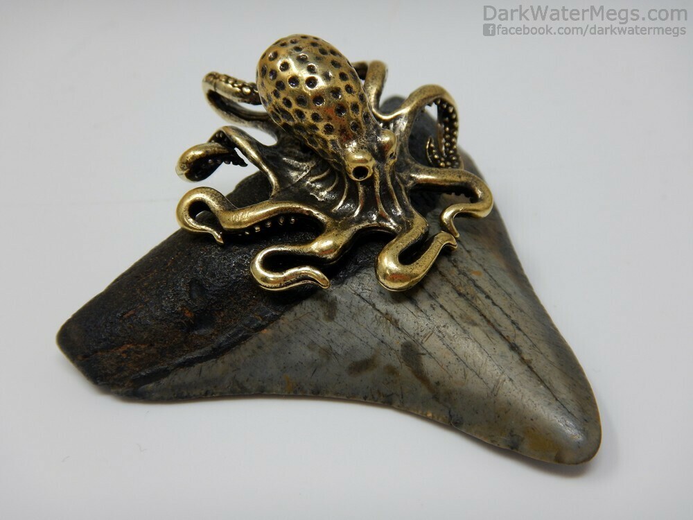 2.84&quot; Octopus Setting on Wide Fossil Megalodon Necklace